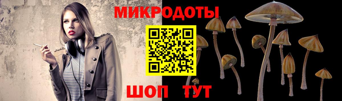 Псилоцибиновые грибы прущие грибы Псков